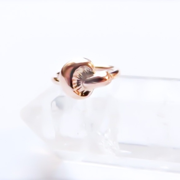 Tiny Mushroom Nose Ring Cartilage Hoop Earring 925 Sterling Silver & Gold Filled - Picture 4 of 9